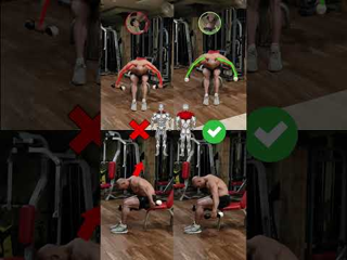 Seated Dumbbell Bent-Over Lateral Raise