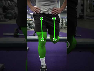 Bulgarian Split Squat