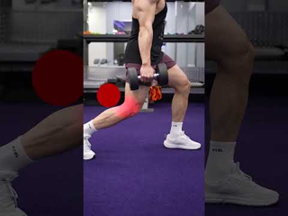 Dumbbell Lunge