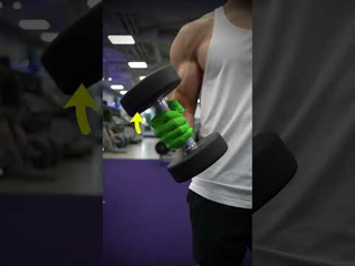 Hammer Curl
