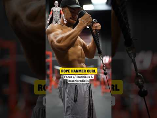 Cable Hammer Curl