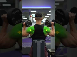 Dumbbell Shoulder Press
