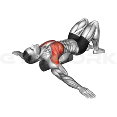 Roll Chest Opener Lying on Floor