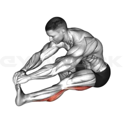 Sitting Toe Pull Calf Stretch