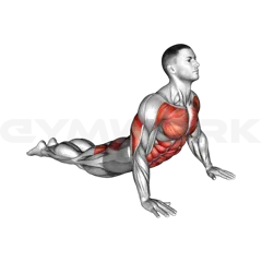 Cobra Yoga Pose