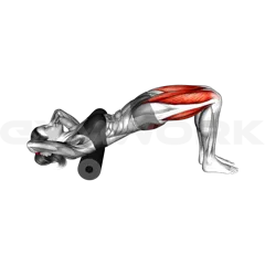 Roll Hip Thrust