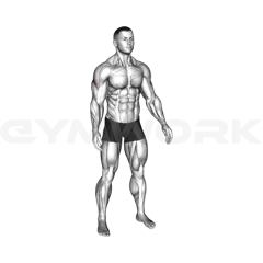 Across Chest Shoulder Stretch