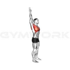 Standing Overhead Shoulder Stretch (V2)