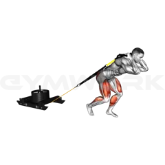 Sled Drag