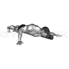 Roll Biceps Lying on Floor