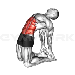 Backward Abdominal Stretch