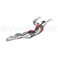 Superman Chest Stretch
