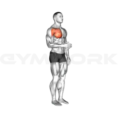 Shoulder Medial Rotation (Internal Rotation)