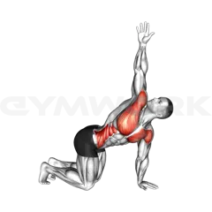 Kneeling Back Rotation Stretch