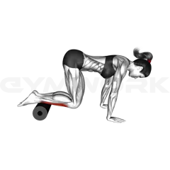 Roll Tibialis Anterior