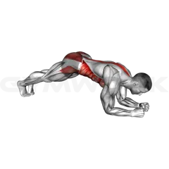 Hip Roll Plank
