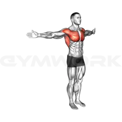 Dynamic Chest Stretch