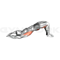 Pelvic Tilt Into Bridge