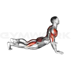 Pike to Cobra Push-up