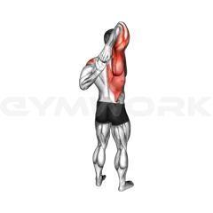 Shoulder Stretch Behind the Back