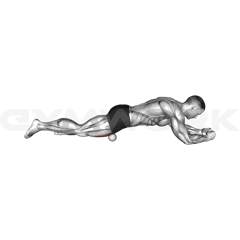 Roll Ball Rectus Femoris Stretch