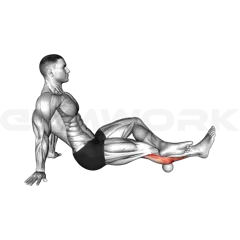 Roll Ball Calf Stretch