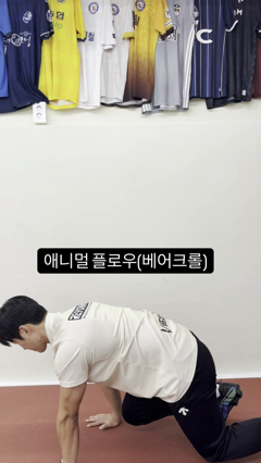 어깨 통증 100% 해결법