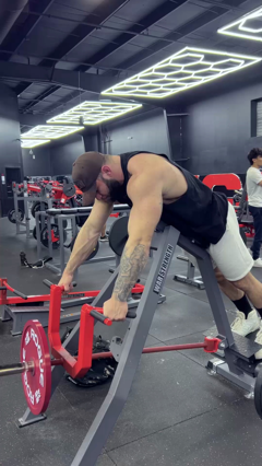 Chest Supported T-Bar Row